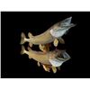Image 4 : 2 *Real Skin* NORTHERN PIKE on a Wood Slice Display