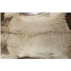 Image 12 : *TEXAS RESIDENTS ONLY* Big AFRICAN LION Hide or LION Rug with its Mounted Head