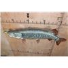 Image 10 : Reproduction XL TIGER MUSKY Fish Chasing a Hand-carved Wood Crappie