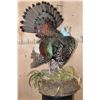 Image 1 : Life-sized OSCILLATED TURKEY on a Decorative Lightweight Base
