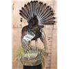 Image 9 : Life-sized OSCILLATED TURKEY on a Decorative Lightweight Base