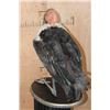 Image 8 : *Rarely Seen* MARABOU STORK on a Wood Plaque Base