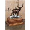 Image 1 : XXL MULE DEER Bronze Sculpture Numbered #1 of 5 by Dennis Jones on a Marble and Wood Base