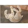 Image 13 : 2 Life-sized LYNX on a Rock Wall Hanging Base