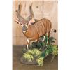 Image 3 : Life-sized BONGO on a Lush Decorative Base with Wheels