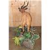 Image 9 : Life-sized BONGO on a Lush Decorative Base with Wheels