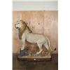 Image 2 : *TEXAS RESIDENTS ONLY* Big Life-sized AFRICAN LION on a Decorative Base with Wheels