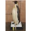 Image 11 : *TEXAS RESIDENTS ONLY* *Very Rarely Seen* EMPEROR PENGUIN on a Stone and Wood Base