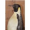 Image 9 : *TEXAS RESIDENTS ONLY* *Very Rarely Seen* EMPEROR PENGUIN on a Stone and Wood Base