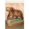 Image 1 : Absolutely Massive Life-sized BROWN BEAR on a Decorative Wood Base with Wheels