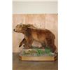 Image 2 : Absolutely Massive Life-sized BROWN BEAR on a Decorative Wood Base with Wheels