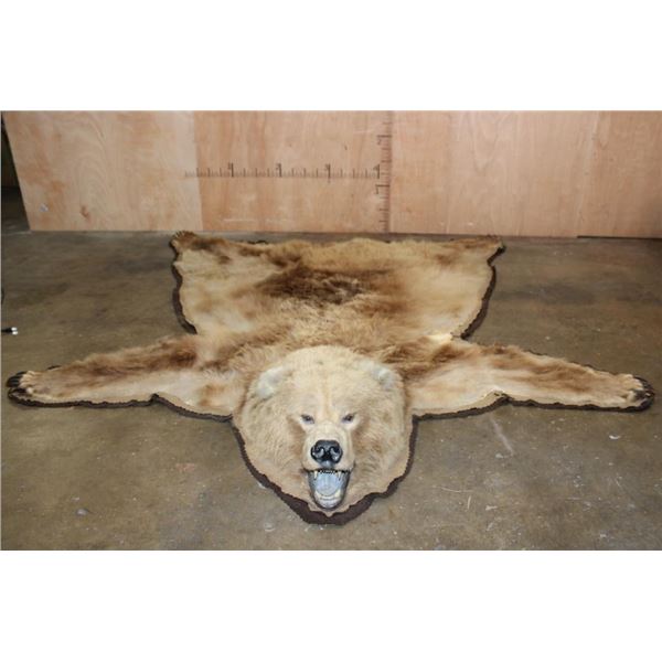 GRIZZLY or BROWN BEAR Rug with its Massive Head and Double Felted Backing
