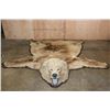 Image 1 : GRIZZLY or BROWN BEAR Rug with its Massive Head and Double Felted Backing