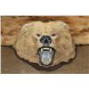 Image 2 : GRIZZLY or BROWN BEAR Rug with its Massive Head and Double Felted Backing