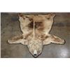 Image 3 : GRIZZLY or BROWN BEAR Rug with its Massive Head and Double Felted Backing
