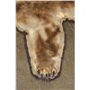 Image 5 : GRIZZLY or BROWN BEAR Rug with its Massive Head and Double Felted Backing