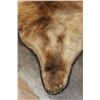 Image 7 : GRIZZLY or BROWN BEAR Rug with its Massive Head and Double Felted Backing