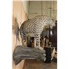 Image 8 : *TEXAS RESIDENTS ONLY* Life-sized LEOPARD on a Log Wall Hanging Base