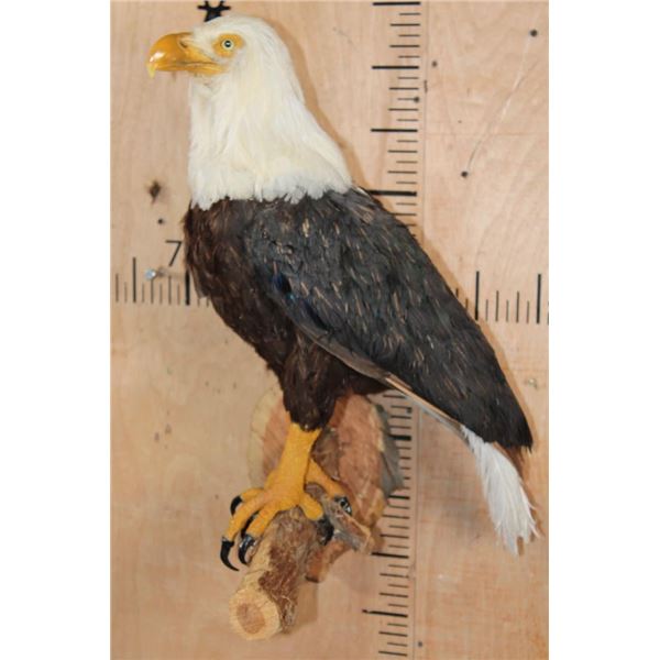 BALD EAGLE Reproduction Perched on a Wood Log Wall Hanging Base