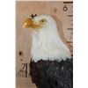 Image 6 : BALD EAGLE Reproduction Perched on a Wood Log Wall Hanging Base