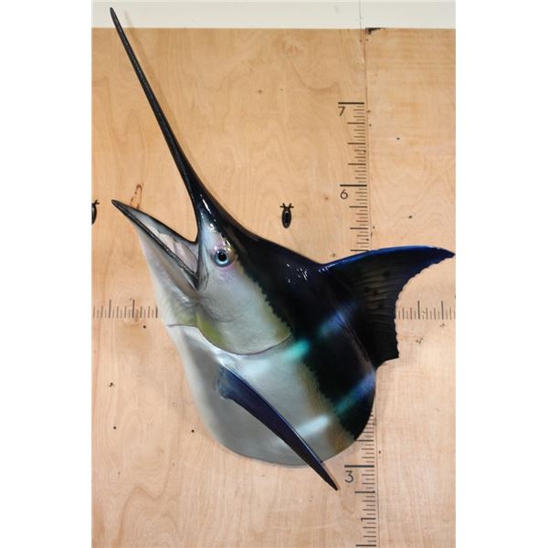 XXL 1/3 Body MARLIN Reproduction Mount