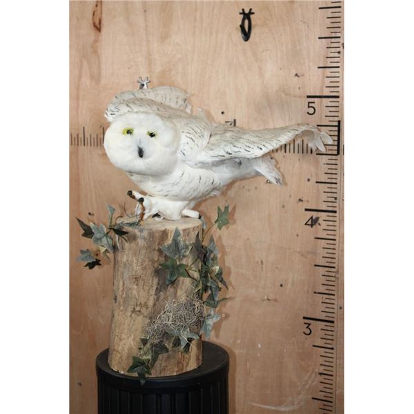 Reproduction Female SNOWY OWL on a Decorative Log Base