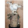 Image 2 : Reproduction Female SNOWY OWL on a Decorative Log Base