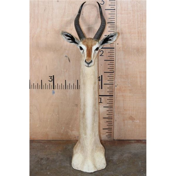 GERENUK Floor or Table Pedestal Mount
