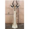 Image 1 : GERENUK Floor or Table Pedestal Mount
