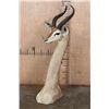 Image 3 : GERENUK Floor or Table Pedestal Mount