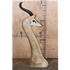 Image 7 : GERENUK Floor or Table Pedestal Mount