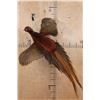 Image 1 : Flying COPPER PHEASANT on a Driftwood Wall Hanging Base