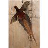 Image 3 : Flying COPPER PHEASANT on a Driftwood Wall Hanging Base