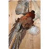 Image 8 : Flying COPPER PHEASANT on a Driftwood Wall Hanging Base