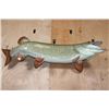 Image 3 : Massive Reproduction MUSKIE or MUSKELLUNGE Fish Mount