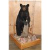 Image 1 : Life-sized BLACK BEAR on a Wood Base with Wheels