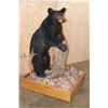 Image 3 : Life-sized BLACK BEAR on a Wood Base with Wheels