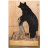 Image 6 : Life-sized BLACK BEAR on a Wood Base with Wheels