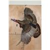 Image 2 : XL FLYING TURKEY on a Driftwood Wall Hanging Base