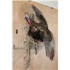 Image 3 : XL FLYING TURKEY on a Driftwood Wall Hanging Base