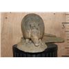 Image 4 : Life-sized ARMADILLO on a Natural Base