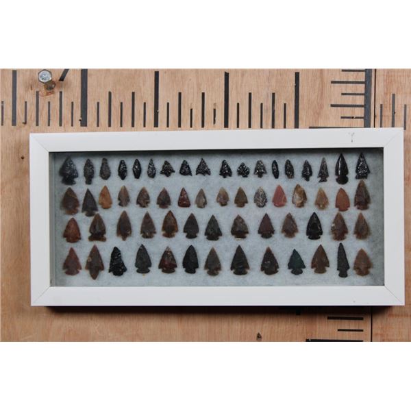 (60) Native American PROJECTILE POINTS or ARROWHEADS in a Glass Display Case