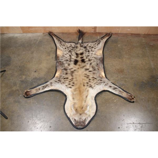 SPOTTED HYENA Rug or HYENA Hide with Carpet Backing and Leather Piping