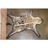 Image 2 : SPOTTED HYENA Rug or HYENA Hide with Carpet Backing and Leather Piping