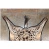 Image 6 : SPOTTED HYENA Rug or HYENA Hide with Carpet Backing and Leather Piping