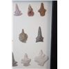 Image 5 : (40) Native American Stone ARTIFACTS, Projectile Points, and Drill Bits in a Display Case