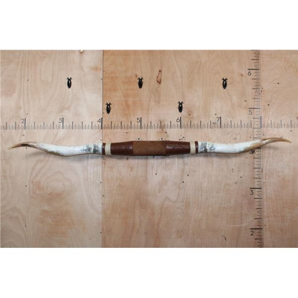 *New* XXL Mounted LONGHORNS with Leather Accents