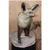 Image 4 : Life-sized BAT-EARED FOX on a Natural Base
