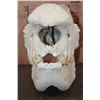 Image 5 : *TEXAS RESIDENTS ONLY* XL WHITE RHINO Skull