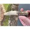 Image 4 : Hand-carved STAG ANTLER Handle of a Polar Bear Head